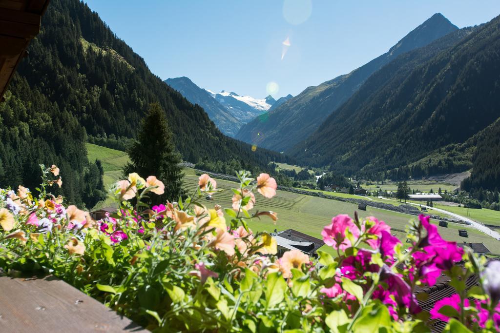 Apartamento Haus Mary Neustift im Stubaital Exterior foto